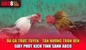 Đá Gà Trực Tuyến - Tận Hưởng Trọn Vẹn Giây Phút Kịch Tính Sảnh ABC8 Đá Gà Trực Tuyến - Tận Hưởng Trọn Vẹn Giây Phút Kịch Tính Sảnh ABC8