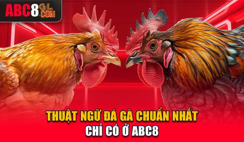 Thuật Ngữ Đá Gà Chuẩn Nhất Cược Thủ Cần Nắm Rõ Tại ABC8 Thuật Ngữ Đá Gà Chuẩn Nhất Cược Thủ Cần Nắm Rõ Tại ABC8